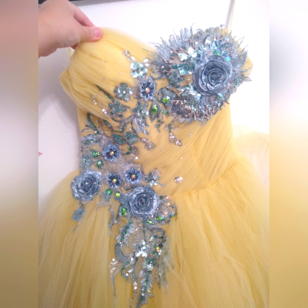 Princess dress (sample dress)